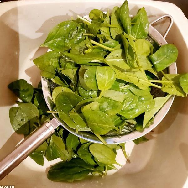 Fresh Green Vegetables